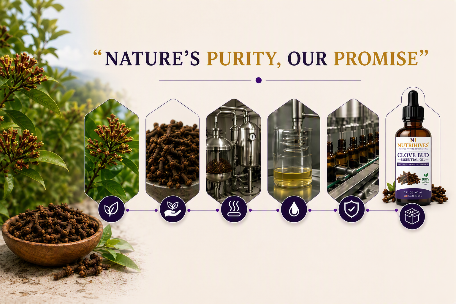 NutriHives Clove Bud Oil 2 oz bottle